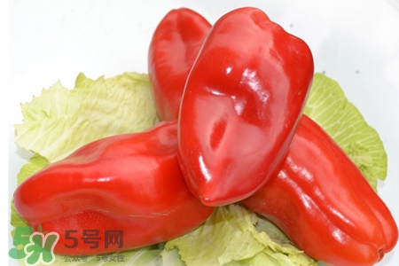 紅椒怎么保存？紅椒的儲存方法
