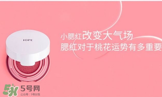 iope氣墊腮紅怎么用？iope亦博氣墊腮紅使用心得