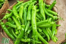 吃尖椒有什么好處？吃尖椒有身體10大好處