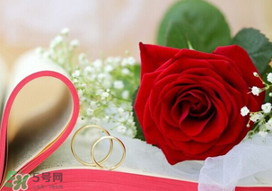 情人節(jié)送什么顏色的玫瑰花好？情人節(jié)送幾朵玫瑰花好？