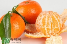 沙糖桔一天吃幾個(gè)最好？沙糖桔每天吃多少合適？