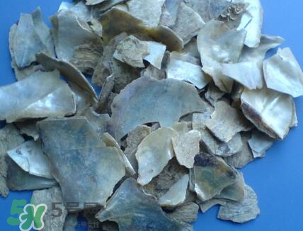 石決明的功效與作用 石決明有什么功效 石決明的功效與作用 石決明有什么功效