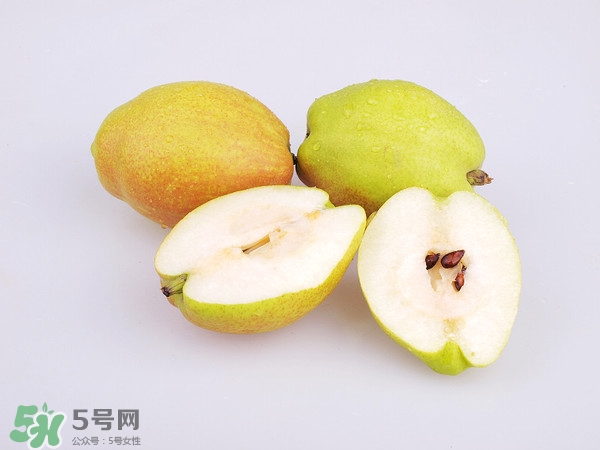 庫爾勒香梨分公母嗎？庫爾勒香梨怎么分公母？