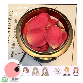 laduree拉杜麗5周年限定玫瑰腮紅多少錢？