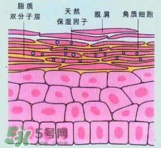 敷面膜真的有效嗎？敷面膜真的有用嗎？