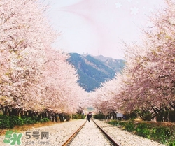 3月份去韓國(guó)穿什么？三月份去韓國(guó)穿什么衣服？