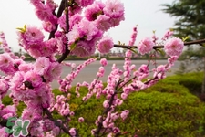 春天養(yǎng)生湯有哪些？春季養(yǎng)生喝什么湯好？