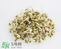 黃豆芽能做餡料嗎？黃豆芽餡包子怎么做？