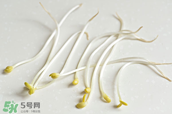 黃豆芽能做餡料嗎？黃豆芽餡包子怎么做？