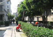 春天吃什么養(yǎng)肝？春季吃什么養(yǎng)肝護肝？