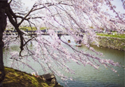 春季養(yǎng)生需注意什么？春季養(yǎng)生宜分三個(gè)時(shí)間段