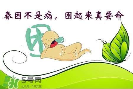 春困開(kāi)車(chē)怎么辦？春天開(kāi)車(chē)易犯困怎么辦？