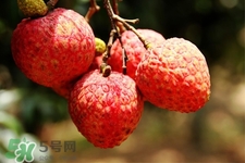 吃荔枝會(huì)過(guò)敏嗎？吃荔枝過(guò)敏怎么辦？