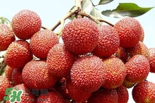 孕期吃荔枝會(huì)流產(chǎn)嗎？孕婦吃荔枝會(huì)好嗎？