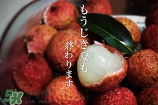 坐飛機(jī)能帶荔枝嗎？荔枝可以帶上飛機(jī)嗎？