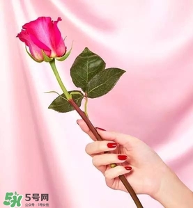 kate spade2017情人節(jié)包包多少錢？凱特絲蓓2017情人節(jié)包包哪里買？