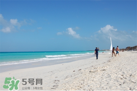 3月份適合去哪里旅游？三月份去哪里旅游好？