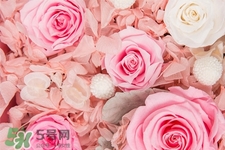 情人節(jié)一般送幾朵花？情人節(jié)送多少朵花好？