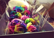 roseonly鮮花多少錢？roseonly永生花多少錢？