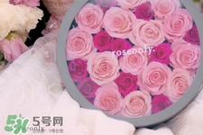 情人節(jié)可以送粉玫瑰嗎？情人節(jié)送粉玫瑰好嗎？