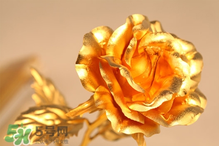 情人節(jié)可以送金玫瑰嗎？情人節(jié)送金玫瑰好嗎？