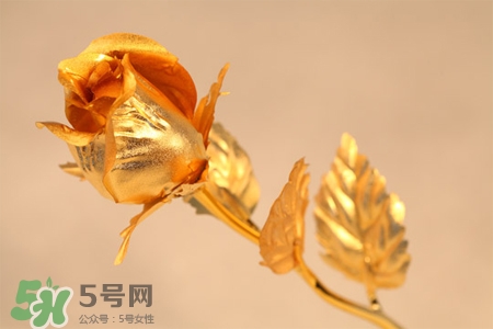 情人節(jié)可以送金玫瑰嗎？情人節(jié)送金玫瑰好嗎？