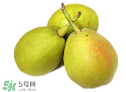 香梨多少錢一斤？香梨怎么挑選？