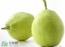 香梨多少錢一斤？香梨怎么挑選？
