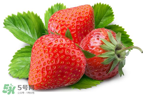 小孩多吃草莓好嗎？小孩可以摘草莓嗎？