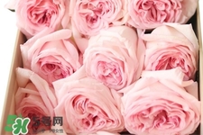 鮮花怎么養(yǎng)？鮮花怎么養(yǎng)放的比較久？