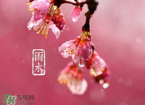 雨水吃什么？雨水節(jié)氣飲食禁忌？