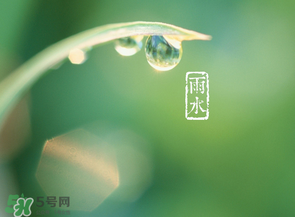 雨水吃什么？雨水節(jié)氣飲食禁忌？