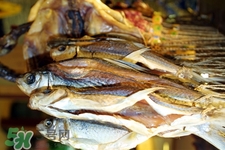 禽流感可以吃魚嗎？禽流感期間能吃魚嗎？