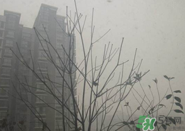 霧霾天開空調(diào)會(huì)不會(huì)污染室內(nèi)空氣？