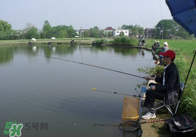 春天釣魚用什么餌料？春天釣魚用腥還是香？