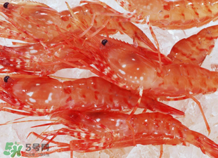 凍蝦能放多久？凍蝦放冰箱冷藏多久？