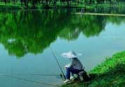 春天釣魚用什么餌料？春天釣魚用腥還是香？