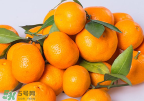 桔子批發(fā)多少錢一斤？桔子多少錢一斤？