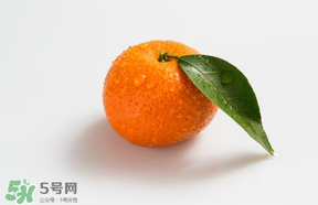 桔子批發(fā)多少錢一斤？桔子多少錢一斤？
