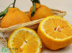 丑橘少錢一斤？丑橘一斤幾個(gè)？