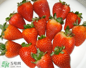 奶油草莓是什么品種？奶油草莓和巧克力草莓的區(qū)別 