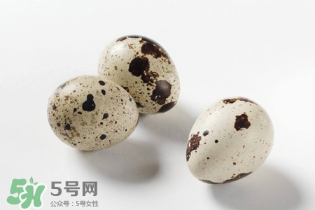 禽流感可以吃鵪鶉蛋嗎？禽流感期間能吃鵪鶉蛋嗎？