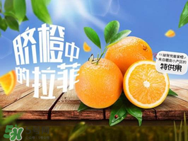 給寶寶吃臍橙好還是血橙好？臍橙好吃還是血橙好吃？