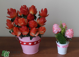 草莓花束怎么做？草莓花束怎么扎起來？