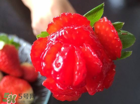 草莓花束怎么做？草莓花束怎么扎起來？