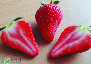 九九草莓多少錢一斤？99草莓價格是多少？