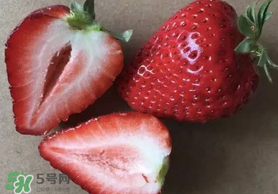 草莓空心能吃嗎？草莓空心怎么回事？