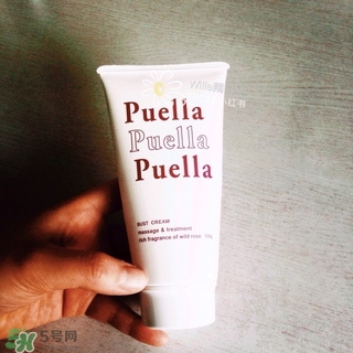 puella豐胸霜多少錢?puella豐胸霜專柜價(jià)格 puella豐胸霜多少錢?puella豐胸霜專柜價(jià)格