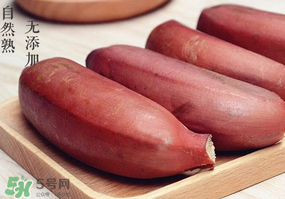 紅色香蕉和黃香蕉哪個好？紅香蕉和普通香蕉的區(qū)別