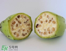 野香蕉可以吃嗎？野香蕉怎么吃？